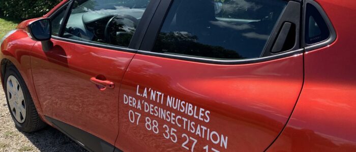 received_746188170772653