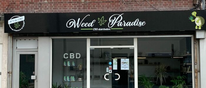 weed paradise